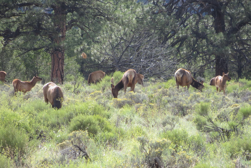 Screen Shot 2022-04-18 at 12.55.12 PM