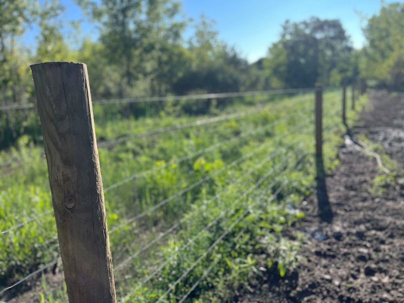 Ontario_19.1_Schmucker_Photos_20