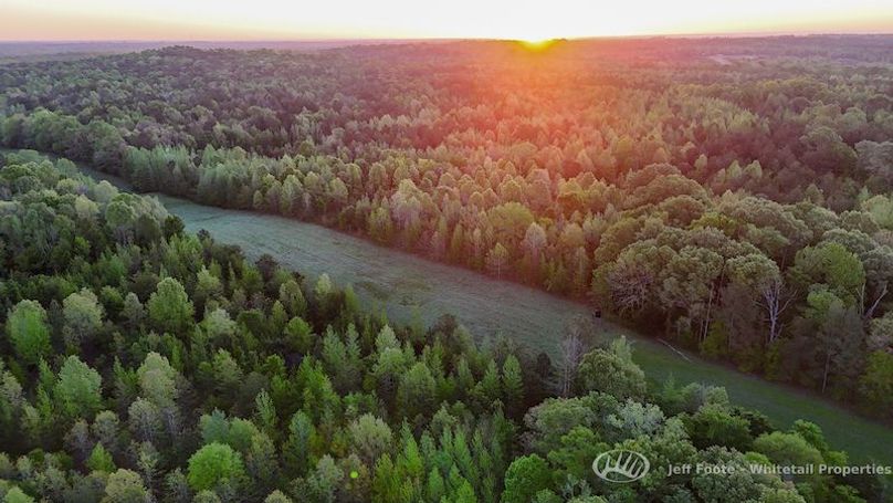 Hinds Co - 51 - Hughes-6