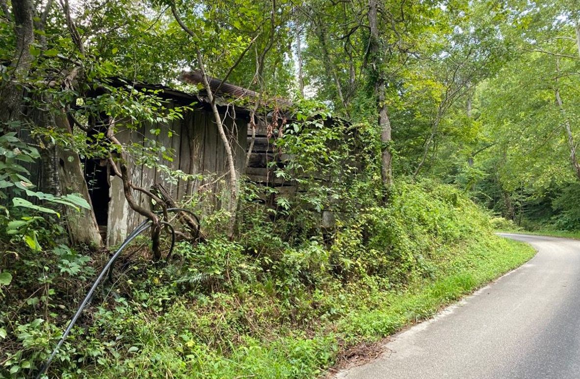 005 remnants of old structure along the road near the middle of the property