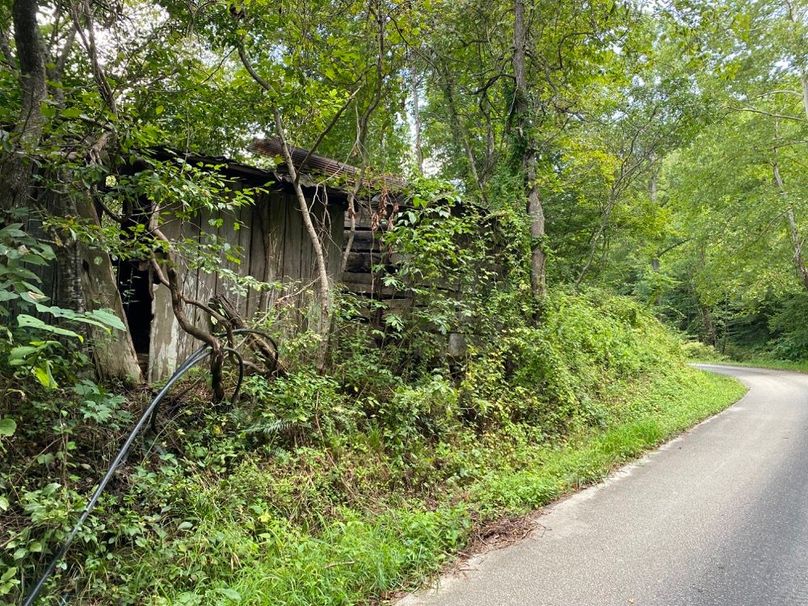 005 remnants of old structure along the road near the middle of the property