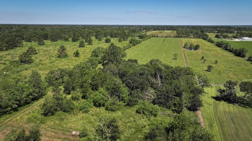 Copy of DJI_20240909121105_0036_D