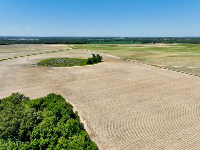 dji_fly_20250521_145010_899_1747853585645_photo