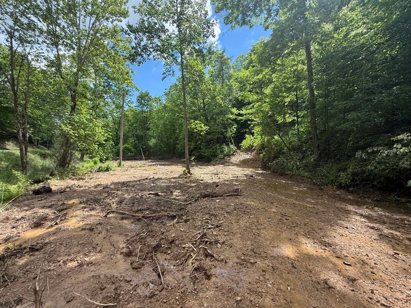 013 another picture of the building area near the creek along the north boundary-2