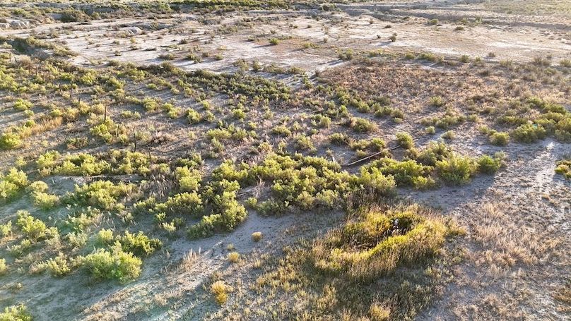 DJI_20240810072608_0151_D