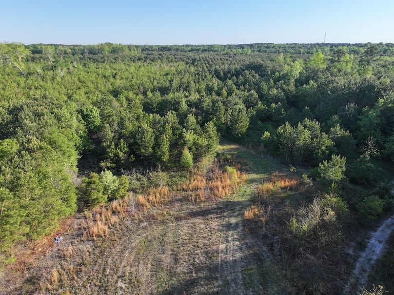 DJI_20250417073750_0030_D