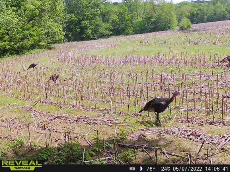 865519049947982-100-4-05072022140642-W1000250