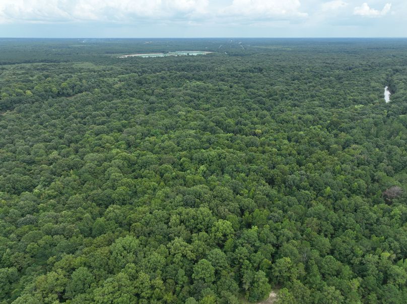 dji_fly_20230727_170156_390_1690507712754_photo 4