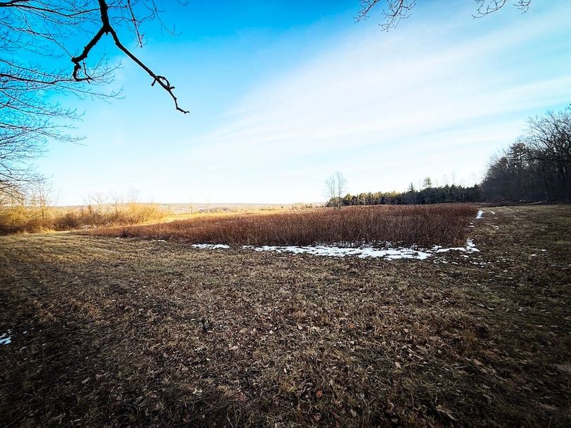 Seneca_24.54_Hohwald_Photos_33