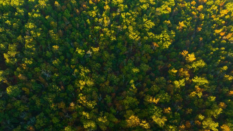 DJI_0244
