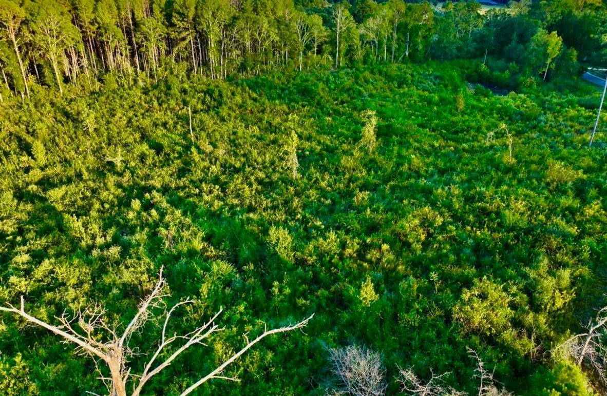 607A958B-7C00-479B-BBF7-EDE91C46419B_1_105_c-2