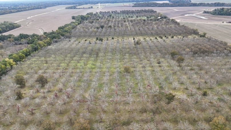 dji_fly_20251107_043218_0037_1762484040144_photo