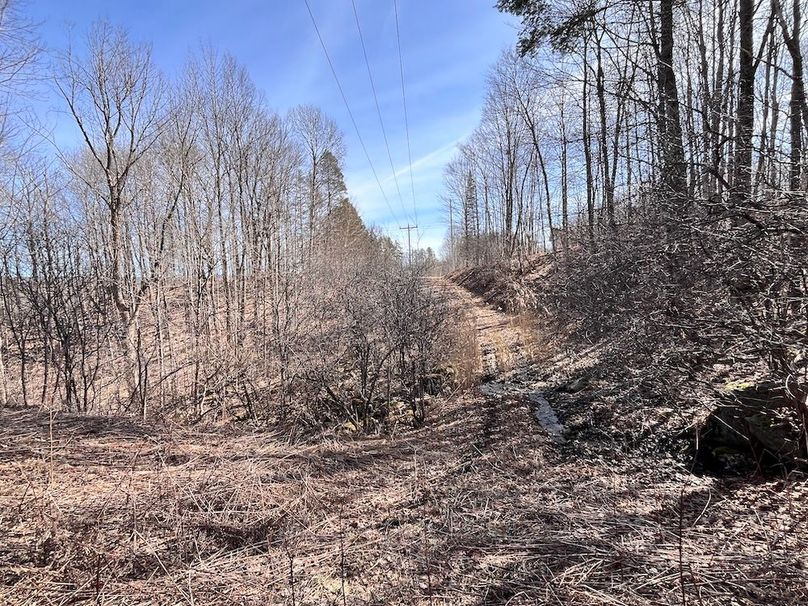 Lewis_26_Somberg Photo 42