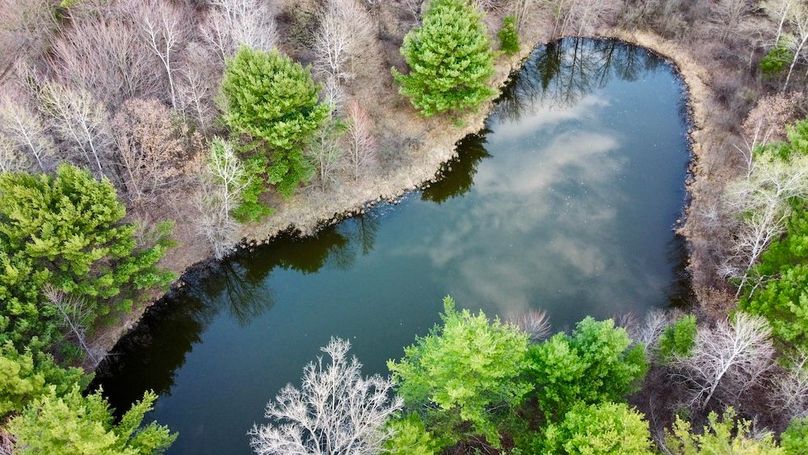 dji_fly_20240415_184506_108_1713225758830_photo_optimized 2