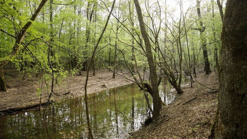 Marion TX 143 and 117 Featured_WEB.00_04_24_01.Still007