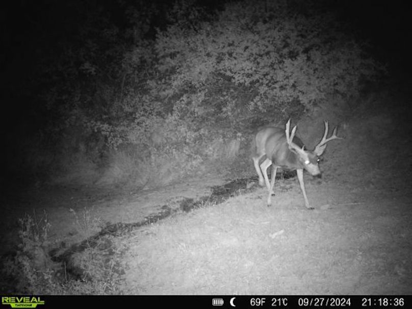 860516063676799-100-3-09272024211836-V-W1006455