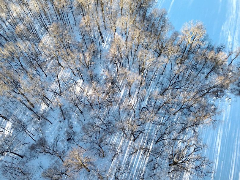 Copy of tract 5 Timber looking down Large