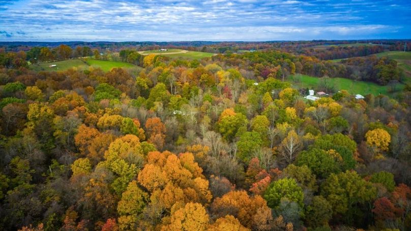 11-zj 31961 Township Rd 381010