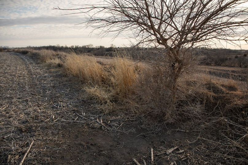 MONTGOMERY CO IA 156.78_61