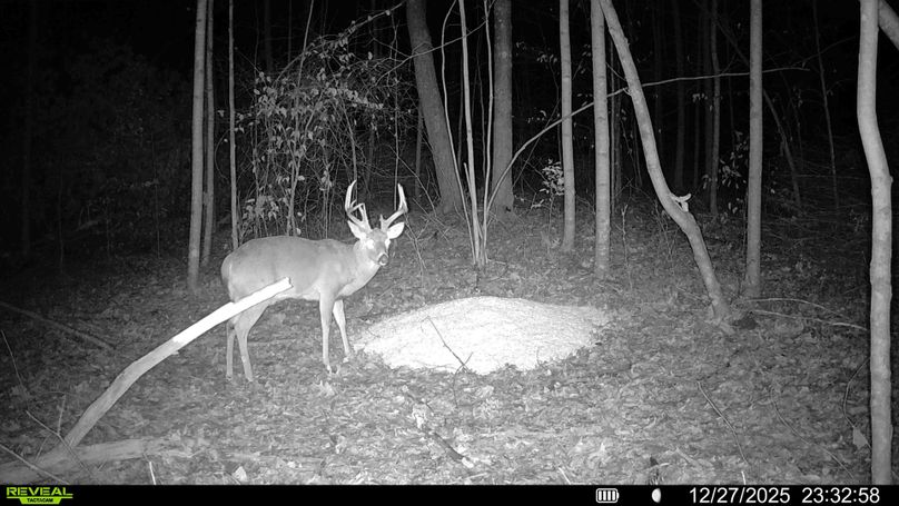 016719000592870-100-4-12272025234703-HD-SYFW00159