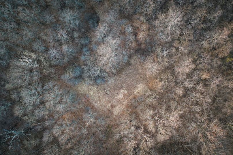 DJI_20260309184342_0344_D