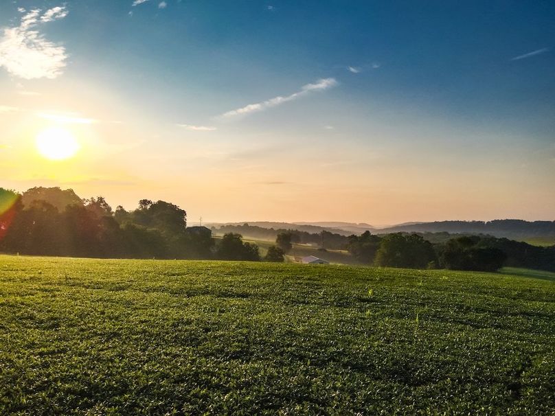 10 York 21.78 Krebs-07