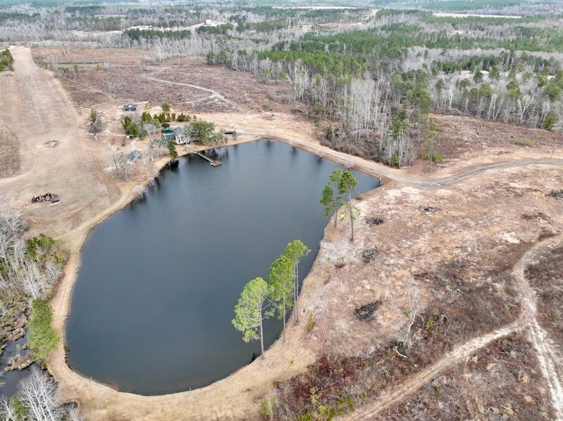 dji_fly_20260211_113632_278_1770828254015_photo