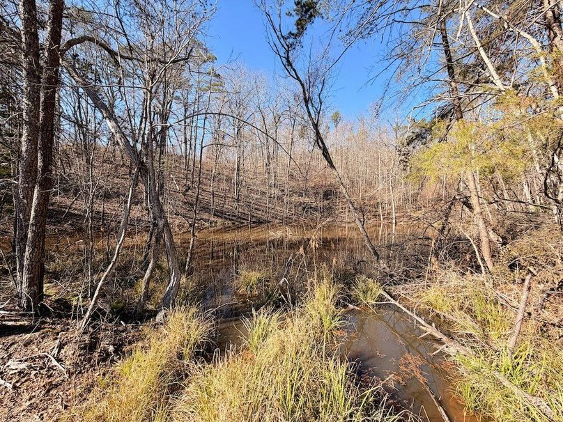 Roane Co TN 396 20251127_63