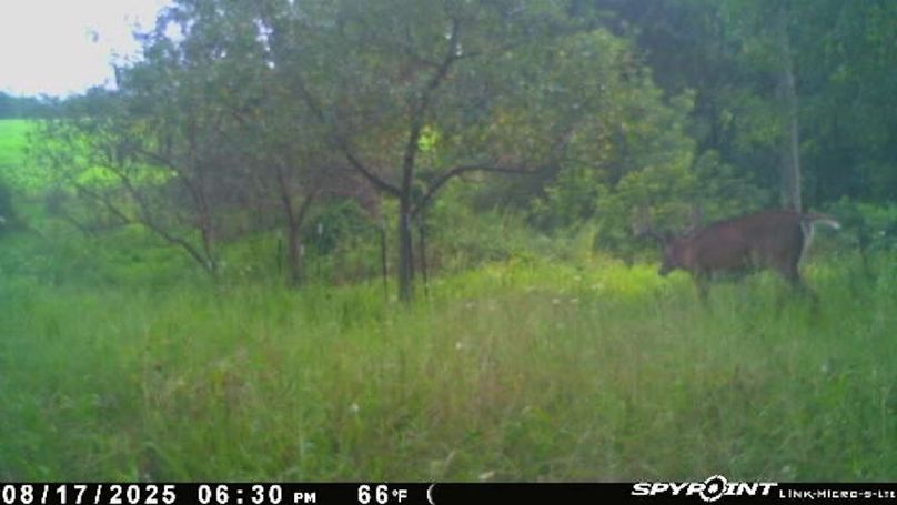 Image-1(13)