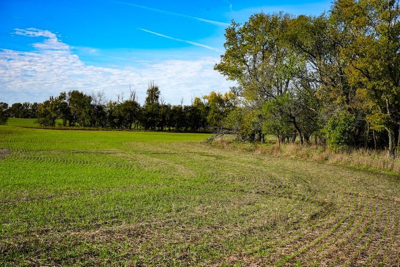 Dickinson Co, 154.5_045