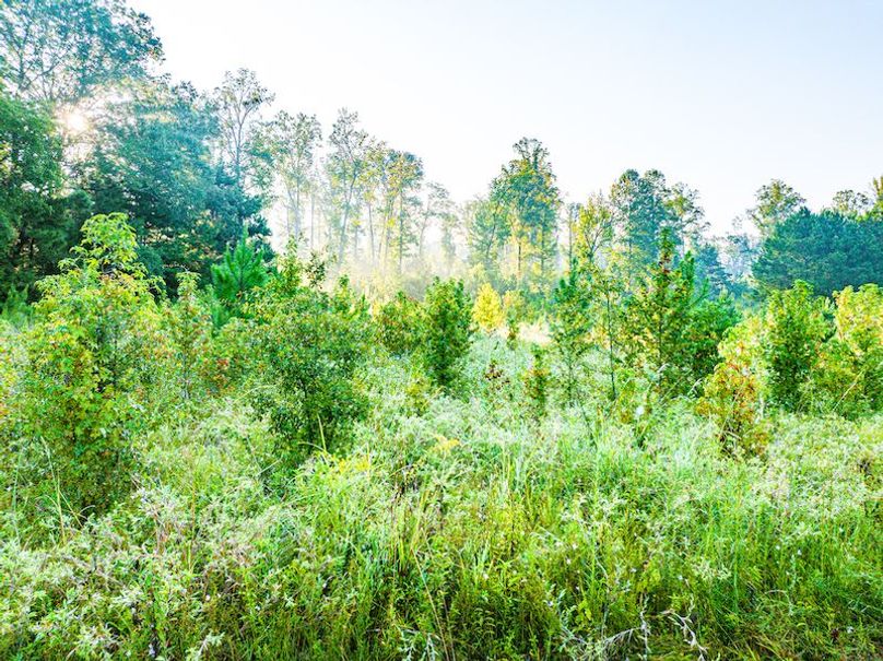 Itawamba 400 Moore-18