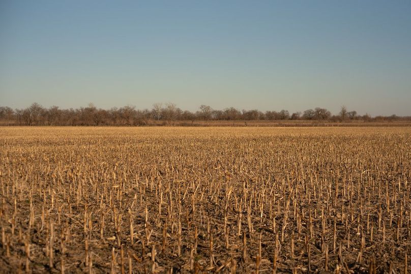 FREMONT CO. IA 31.48 +_-_29