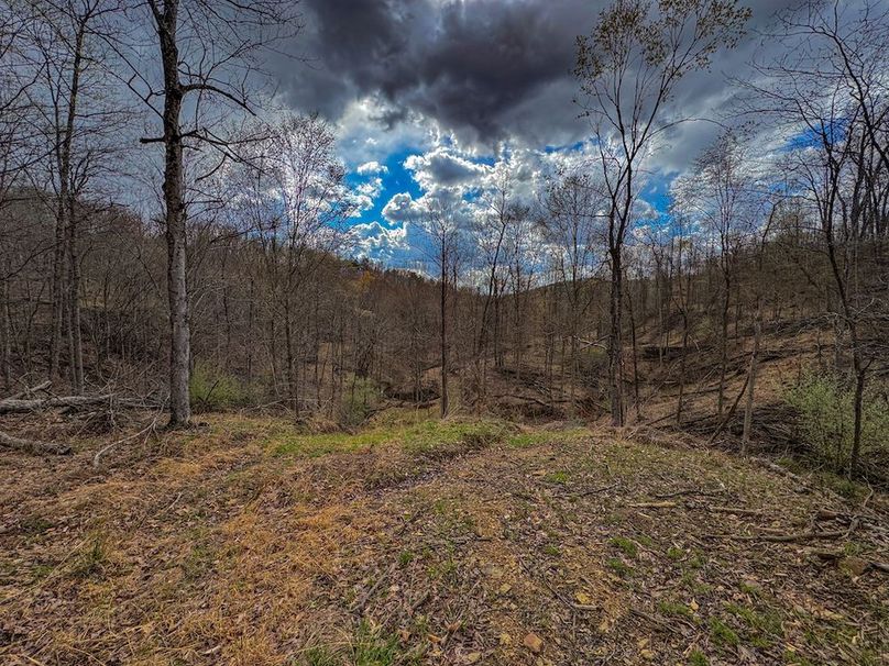 Wirt, WV 156.941 AC Full-08