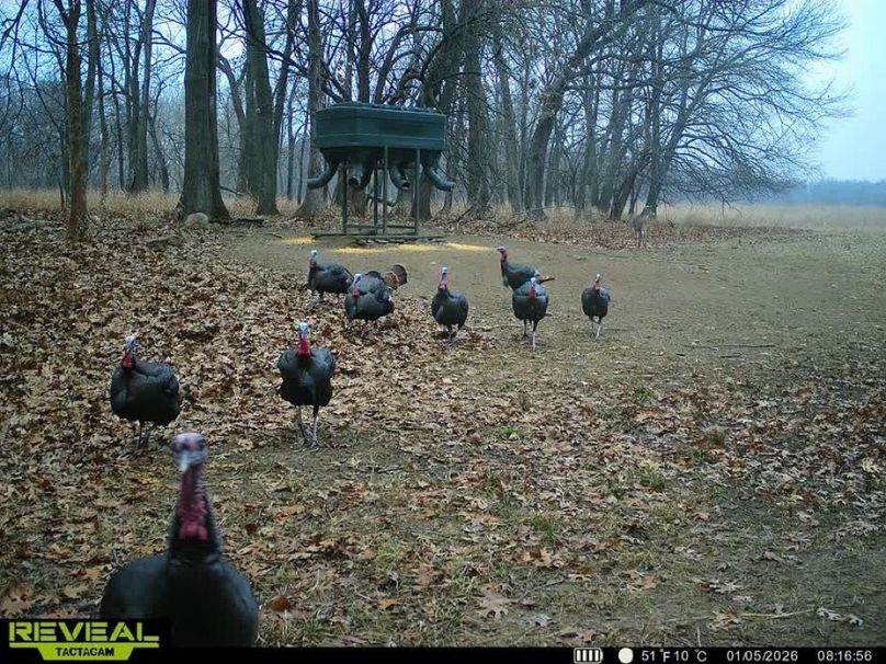 860322065946383-100-4-01052026081716-W1017774