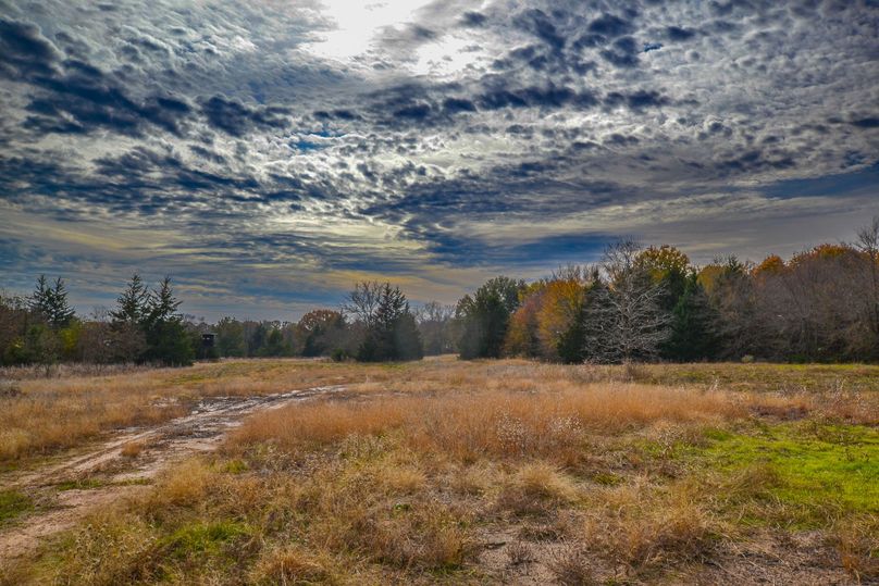 Hunting And Recreation Hideaway In East Texas Whitetail Properties