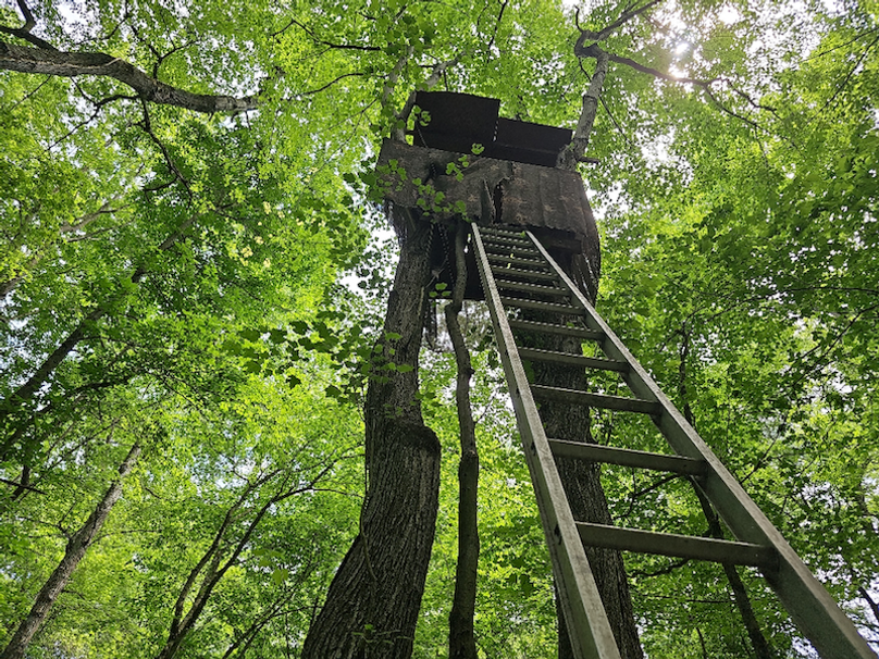 37.98ac_TempleRd_BGORE_15_HighBLIND