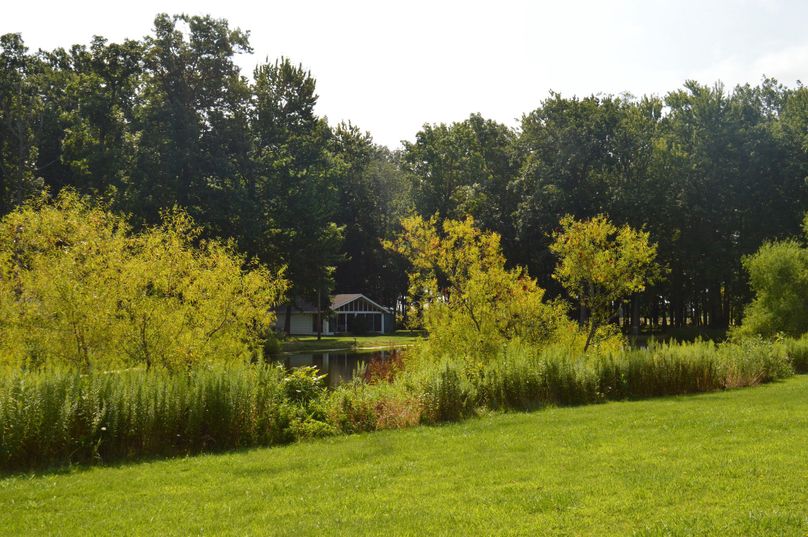 Another view from across the pond