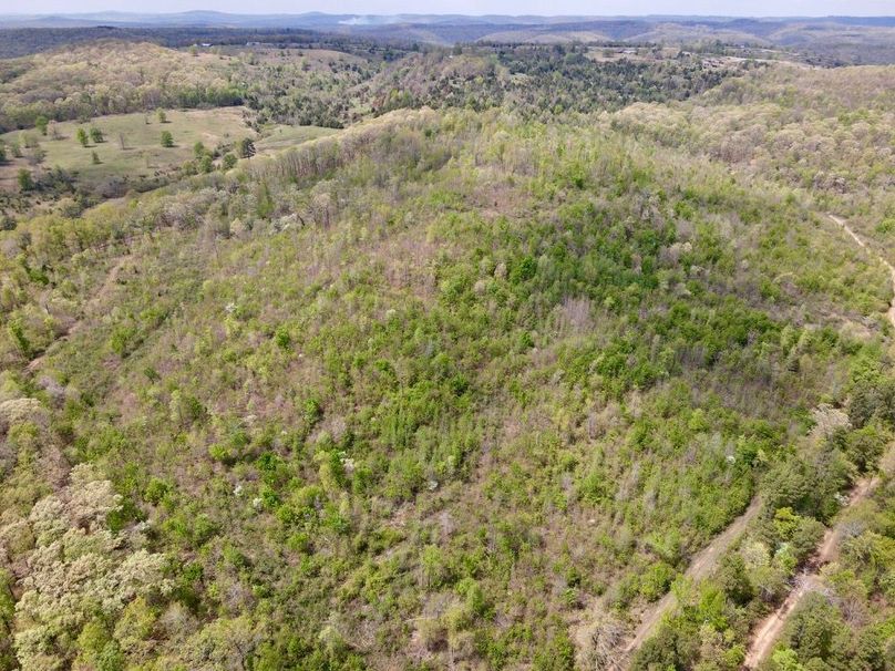 5B31244C-F45E-4C26-993C-609BB39E9689_1_201_a-2