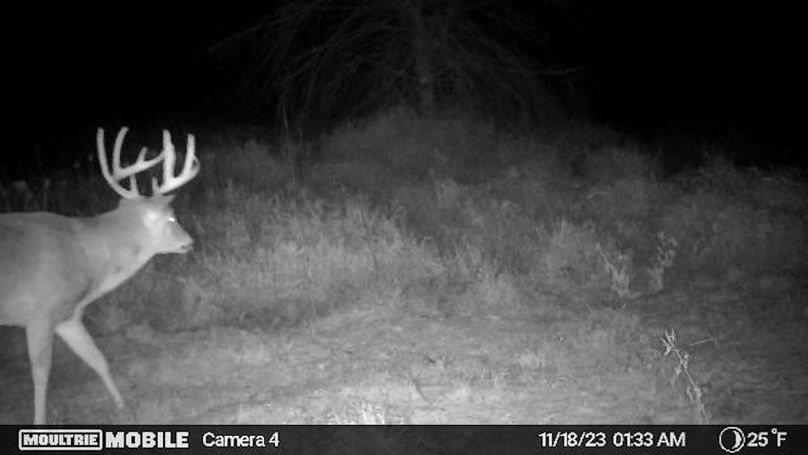 Temp_1082385-20231118073409-20231118013323_002235