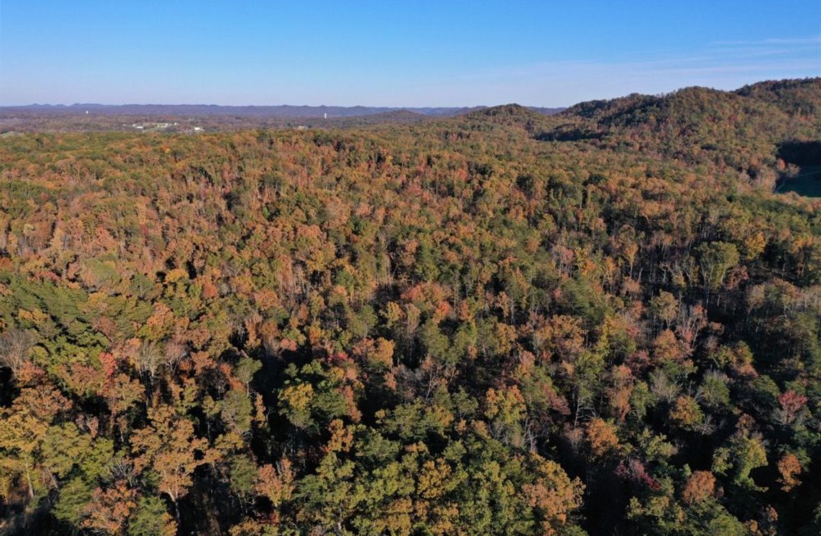 003 aerial drone shot from the middle of the property looking east