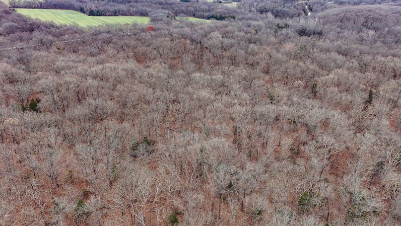 Copy of DJI_20251129134126_0035_D