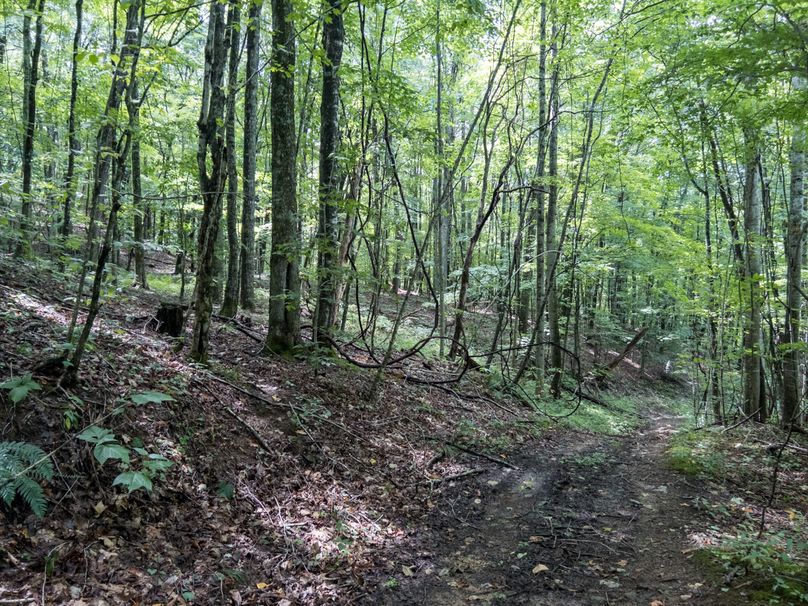 13_36.85_Pocahontas_WV