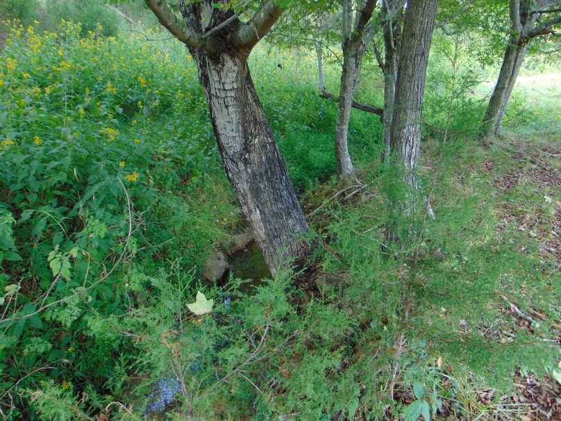 DSC00665
