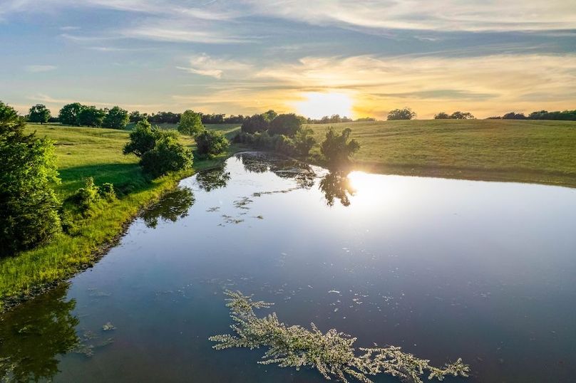 Fannin County- 134.4 acres-41