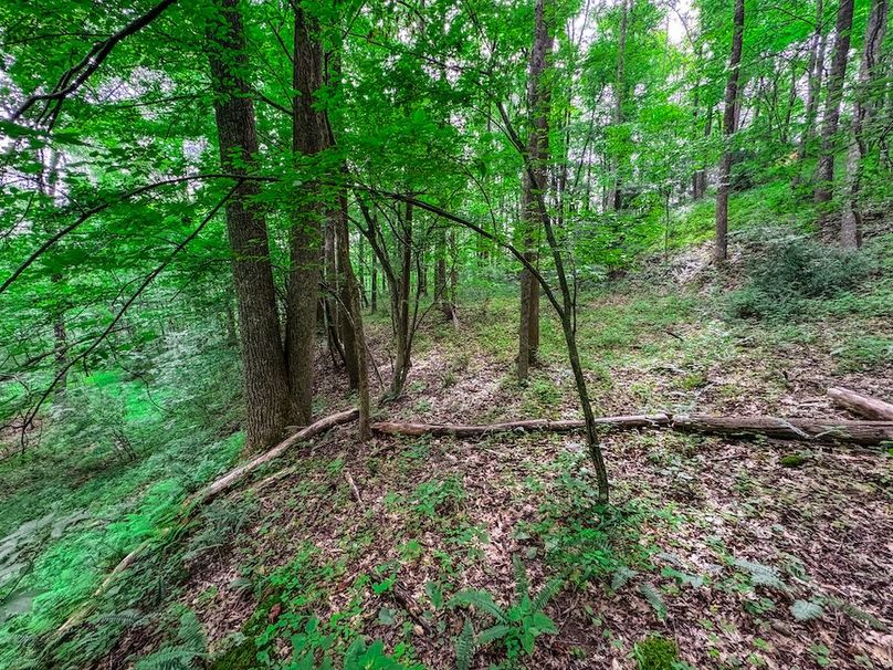 Doddridge, WV 15.68 AC Bonnett-72