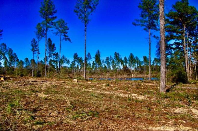 222EDCF4-93F0-4C30-823B-D77345A4CD05_1_201_a