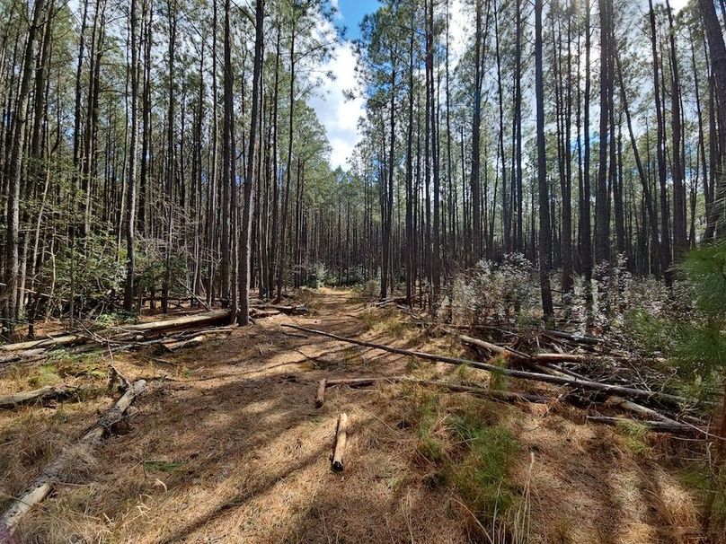 Romancoke_QAnnes_PIC_07