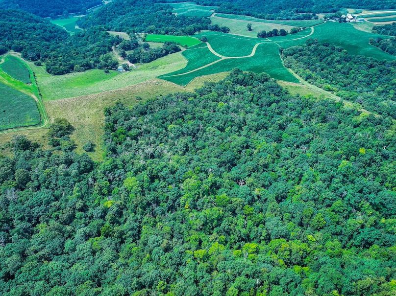 New Albin 8_8 edits-32