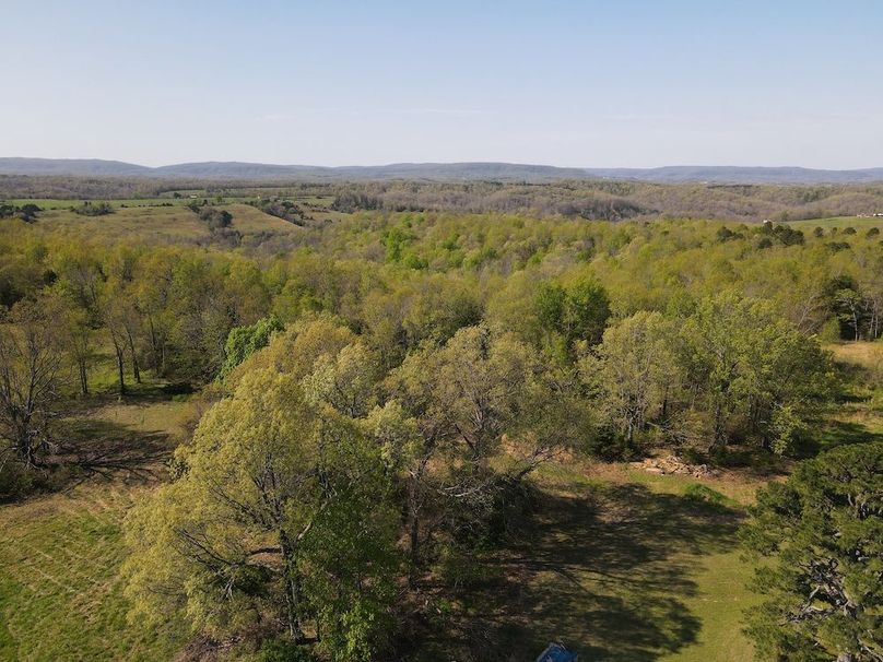 DJI_0291