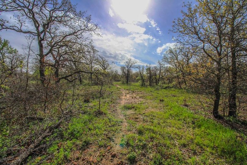 14. Oaks and Game Trail